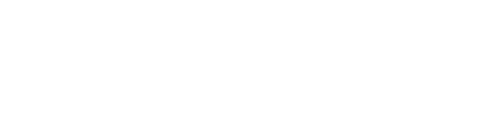 Лого Ради національних спільнот України 2025